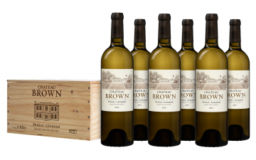 Chateaubrownpessacleognanblanckist