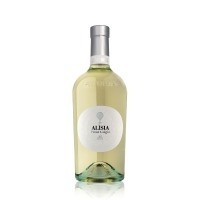 Pinot grigio astoria alisia