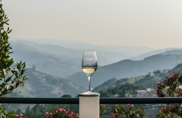 Quinta de santa teresa 3