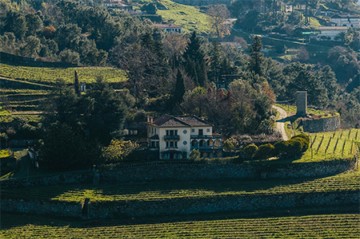 Quinta de santa teresa 6