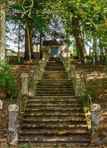 Quinta de santa teresa 8