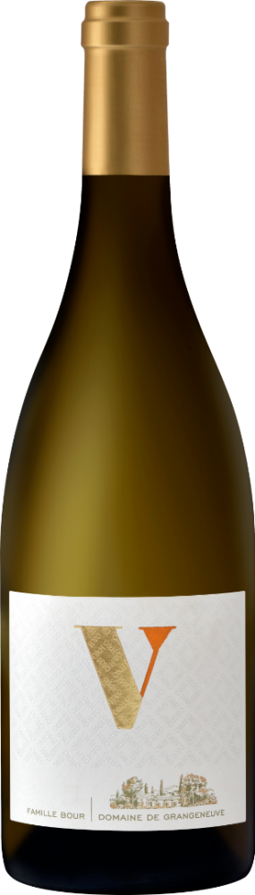 Viognier v 2021